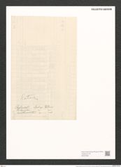 Surirella ceylanensis Lend.-Fortm. (de-Toni-Nr.: Genus 53, Species 2277) Zeichnungen Sammlung Grunow (NHMW-BOT-W0372831)